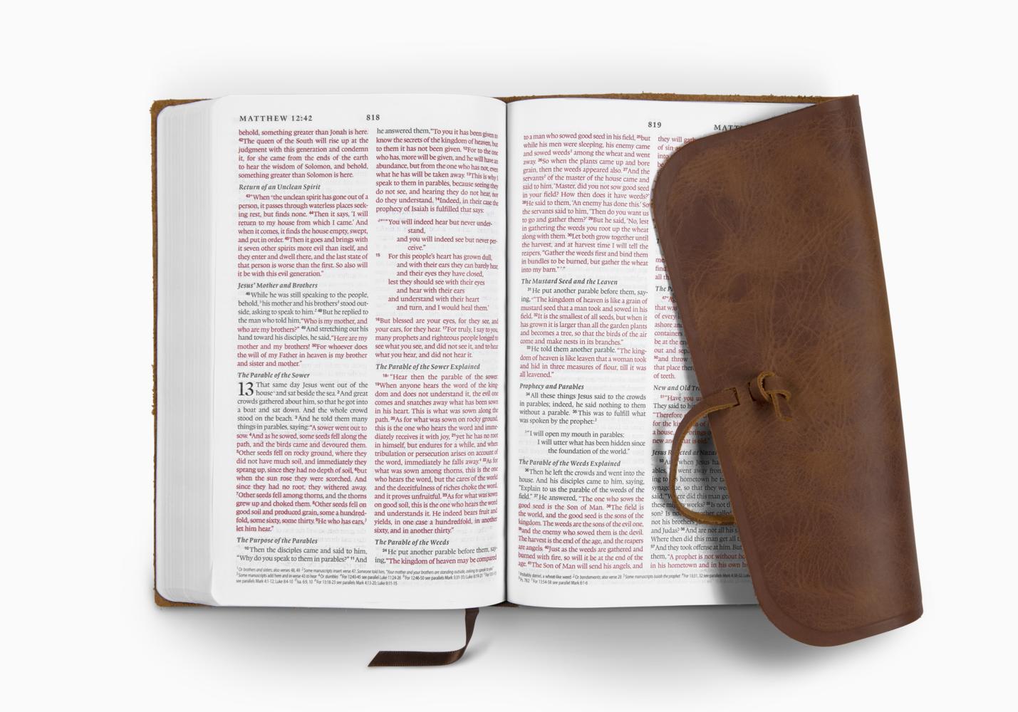 esv bible