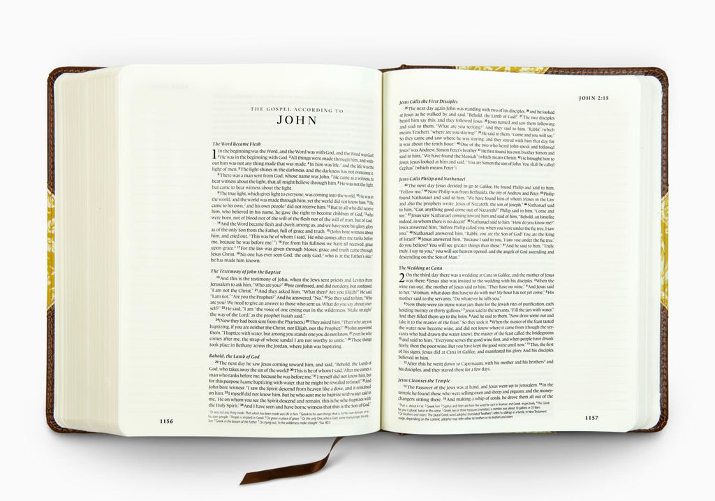 esv bible history