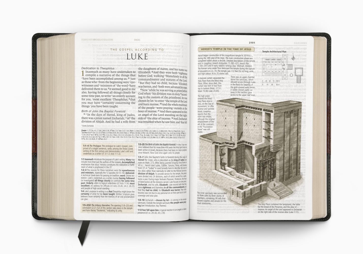 history of the esv bible