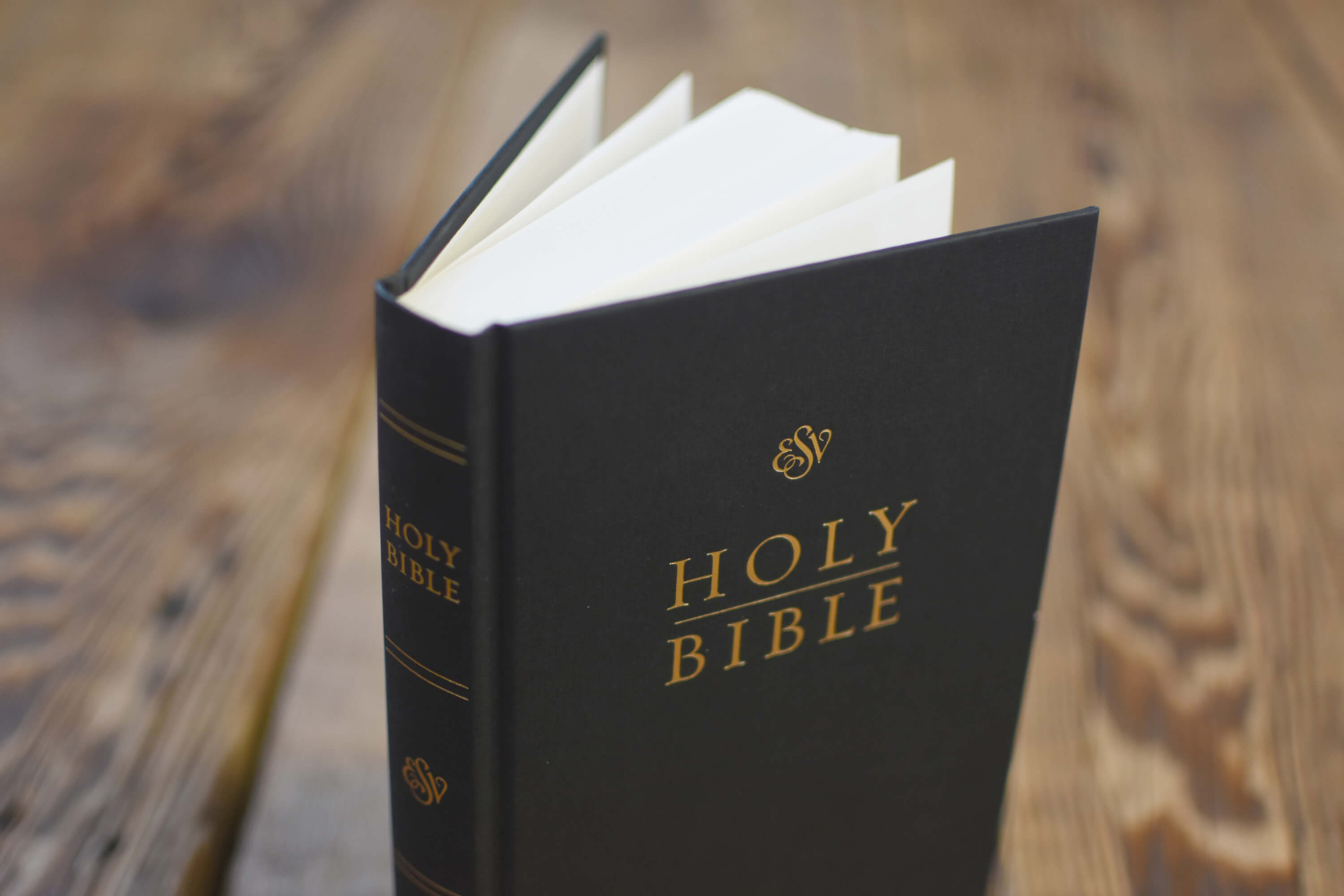 what is a esv bible