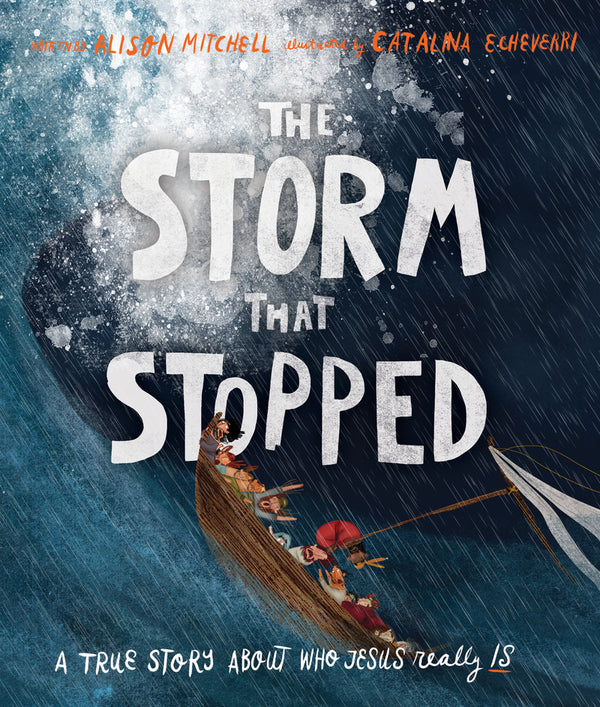 Image of The Storm That Stopped (Tales That Tell the Truth)