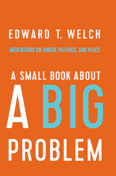 A Small Book about a Big Problem: Meditations on Anger, Patience