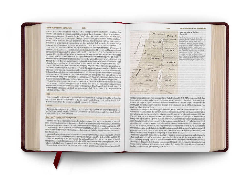 esv online bible