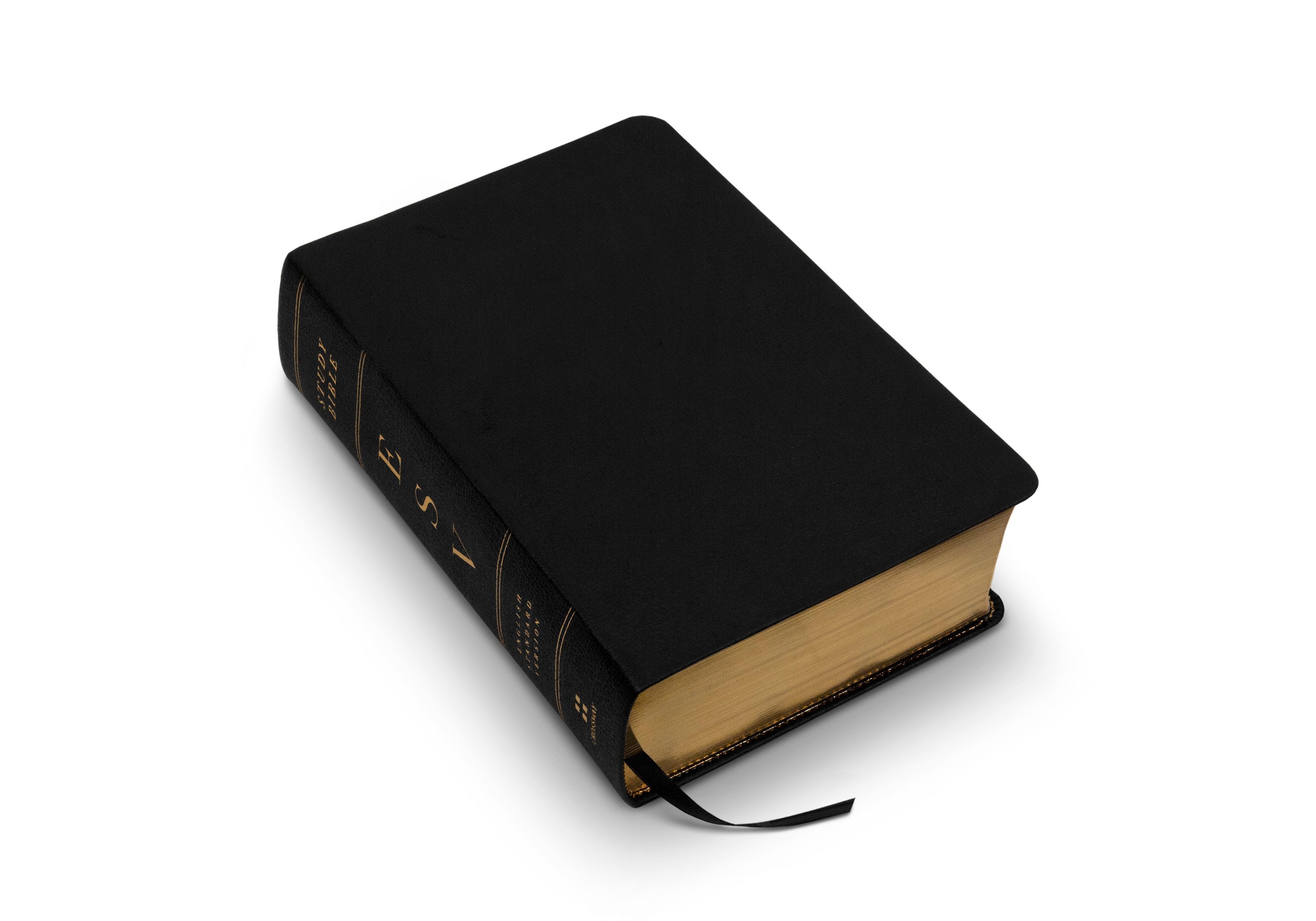 esv bible study bible amazon