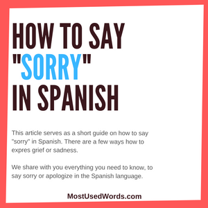 How Do You Say Sorry in Spanish?