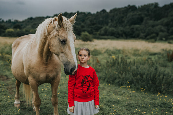 Una O Connor Photographe | Sweat Enfant Faune