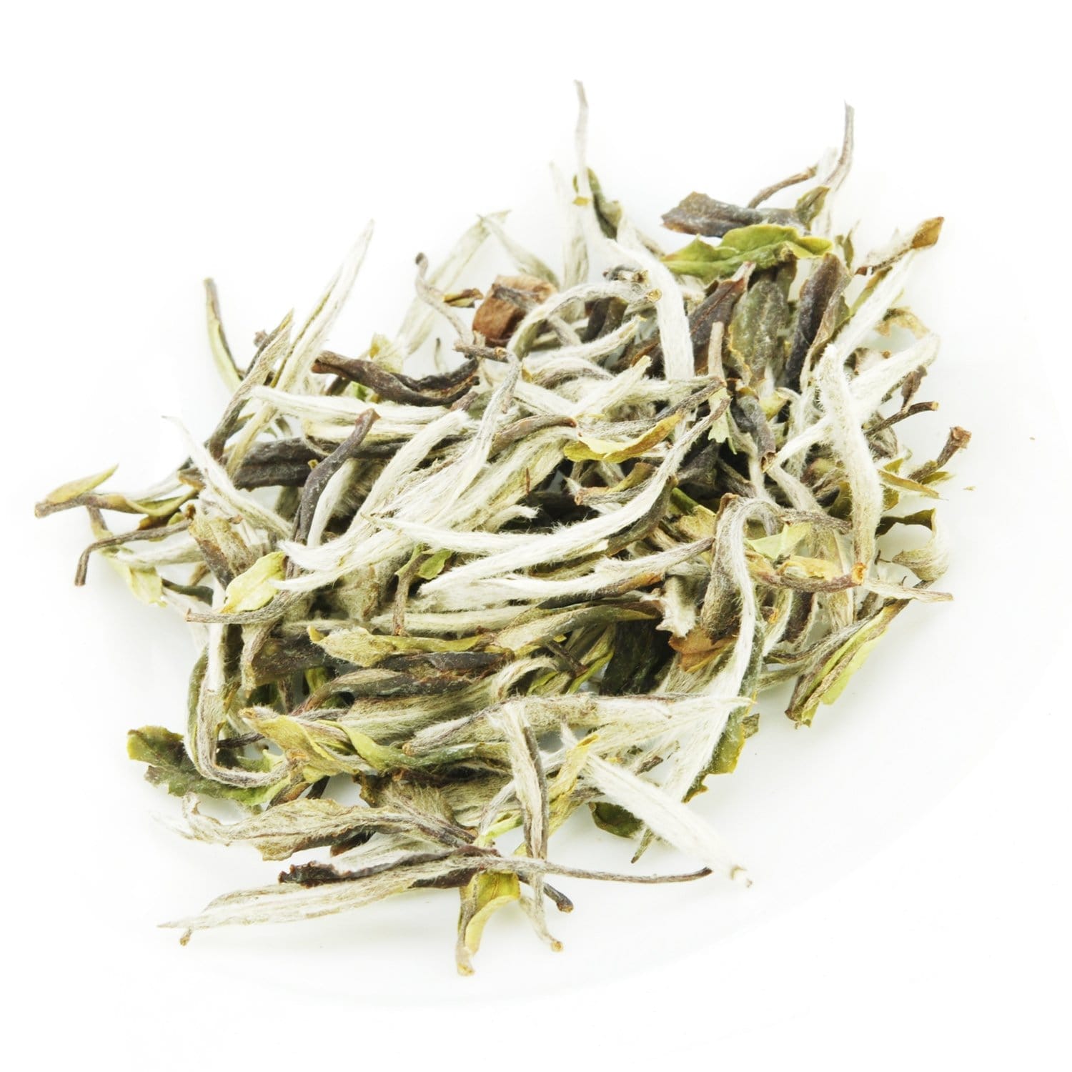 white tea leaf