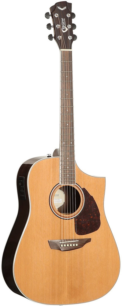 acoustic fretboard