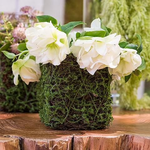 Hot Moss Planter Wedding Favor