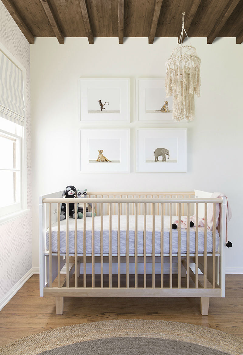 The animal paint shop nursery designs