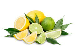 are lemon and lime poisonous to dogs