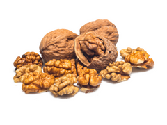 why are walnuts bad for dogs