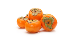 can dogs have persimmons fruit