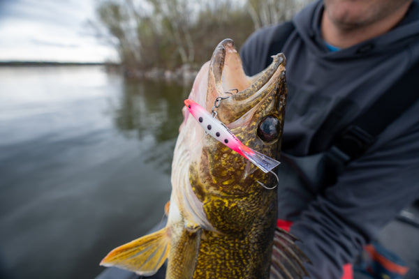 Achieve Pre-Spawn Walleye Fishing Success — Discount Tackle