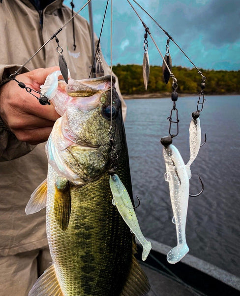 How and When to Fish an Umbrella Rig for Bass