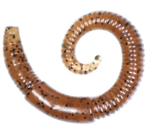 Lunkerhunt 2 Inch River Worm Soft Plastic 8 Pack Discount Tackle 7397