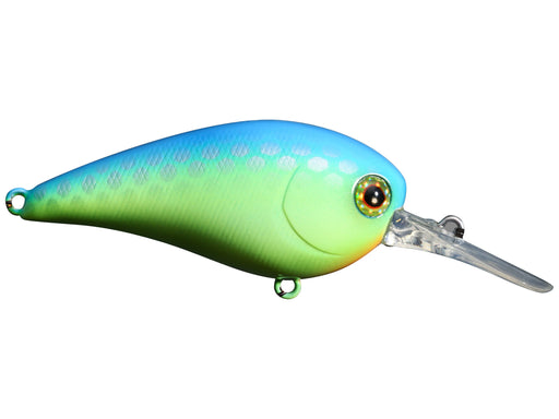 discount fishing lures