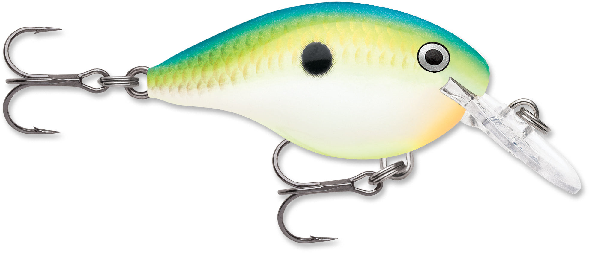 rapala dt4 crankbaits