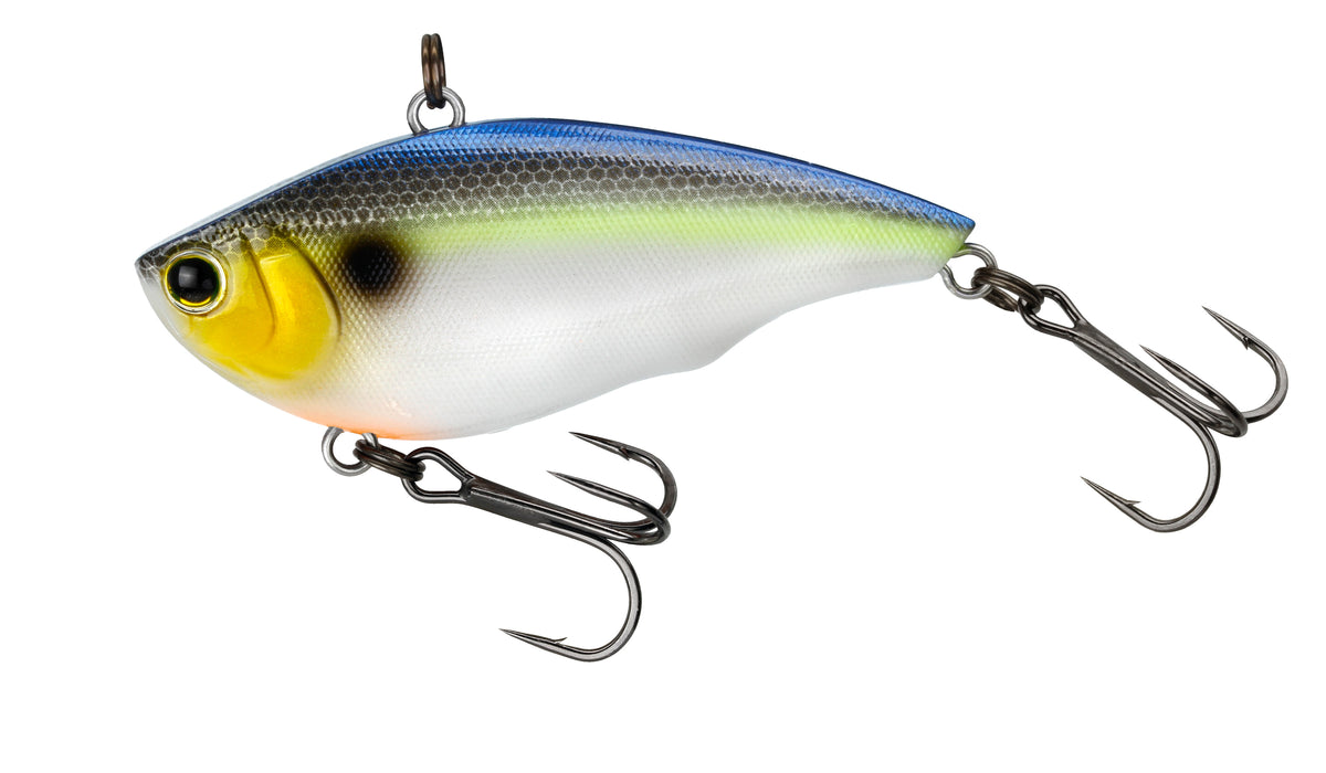 xcalibur xr50 lipless crankbait