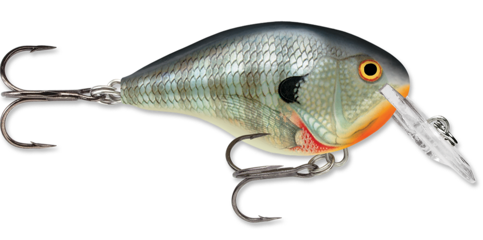 dt4 rapala crankbait