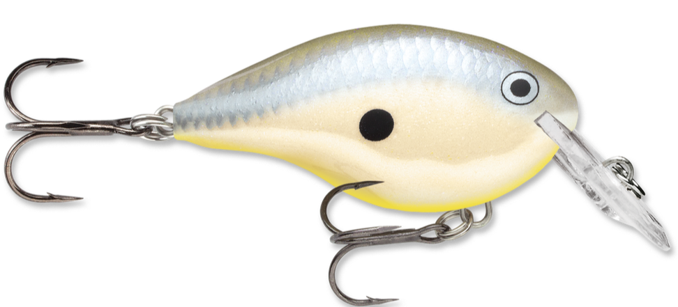 rapala dt4 crankbaits