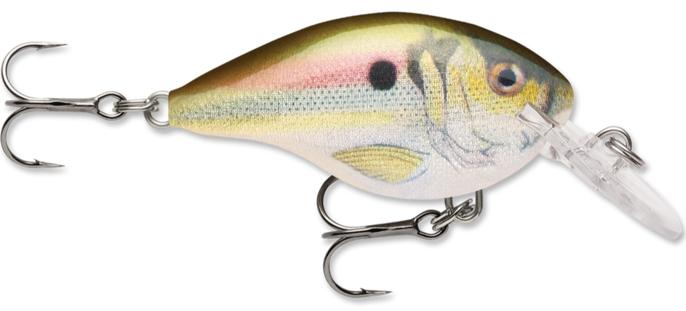 dt4 rapala crankbait