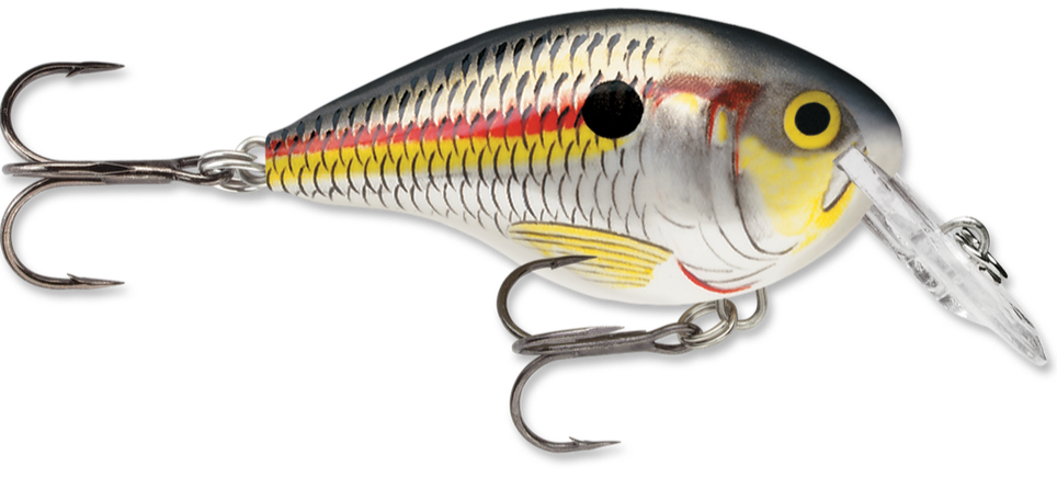 dt4 crankbait