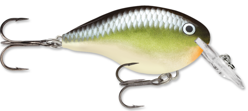 rapala dt4 crankbaits