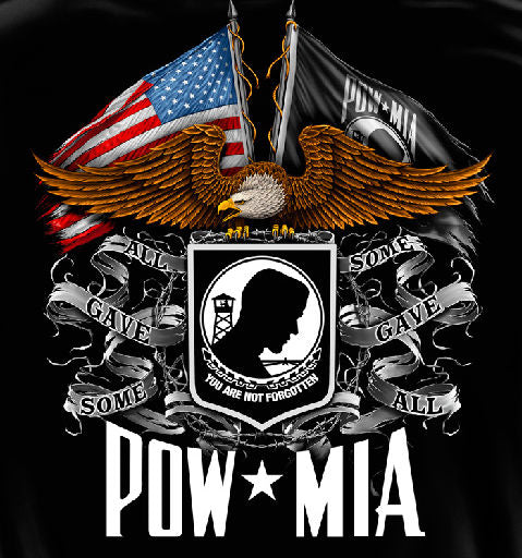 Image result for pow mia