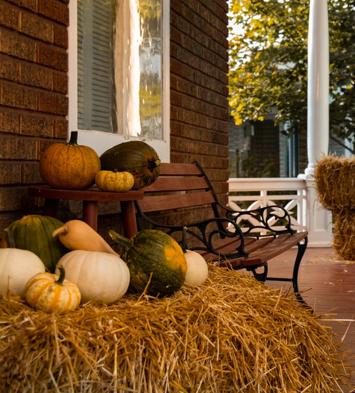 Halloween_Pumkin