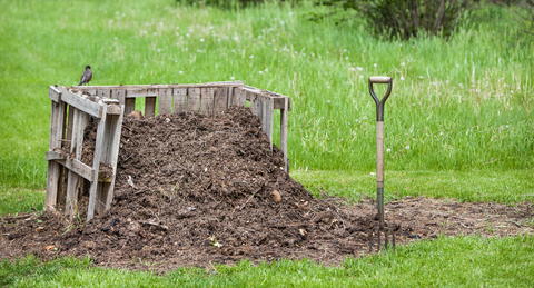 compost pile