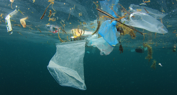 Plastics in the ocean