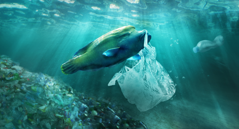 plastic-in-the-ocean