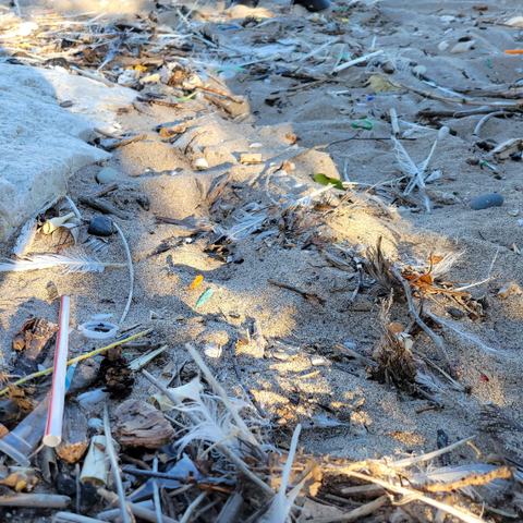 Straws on the beach