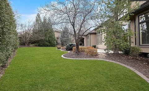 backyard of home remodeled on Bargain Mansions