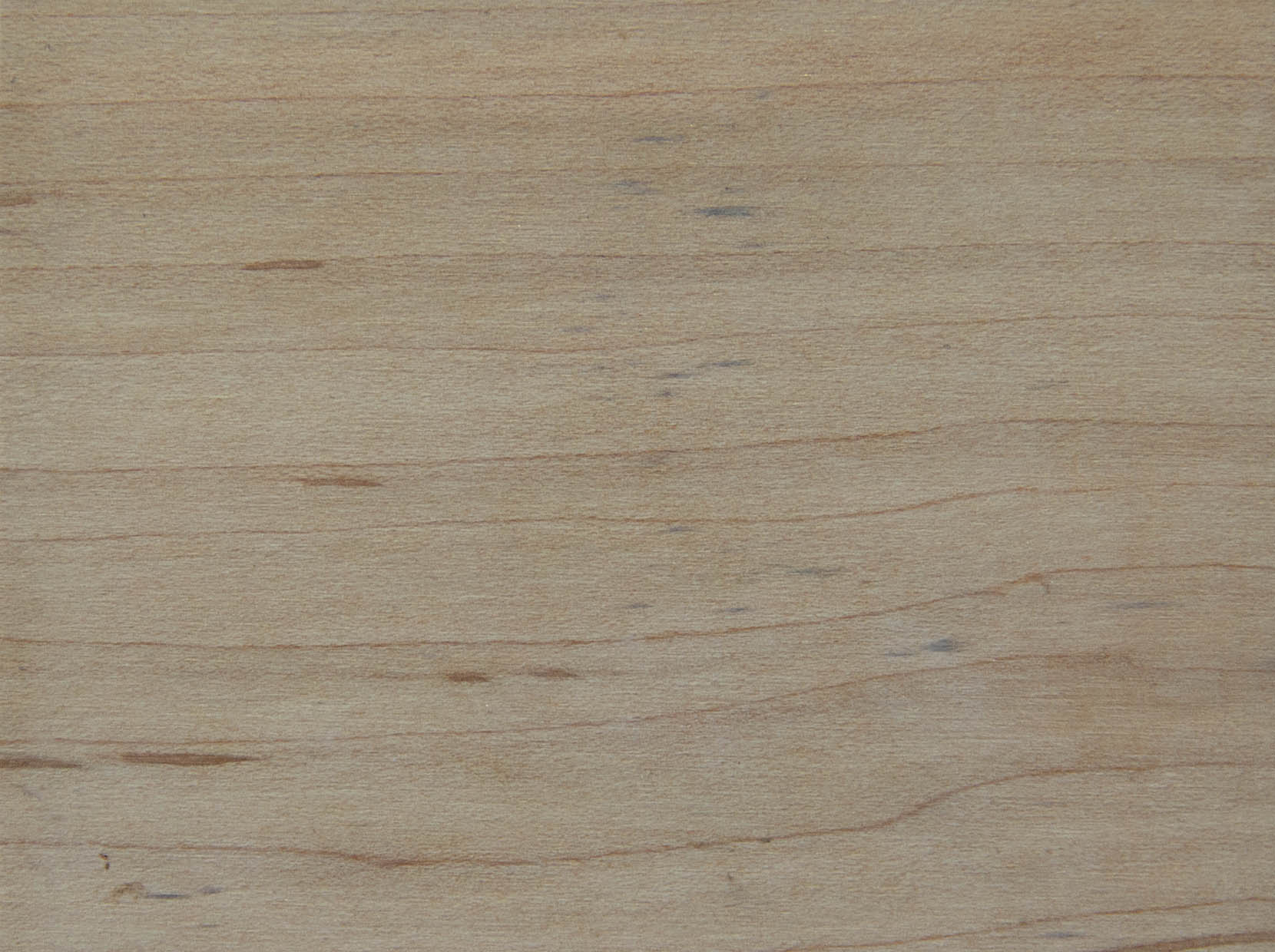 Wood Finish Sample - Unfinished Maple