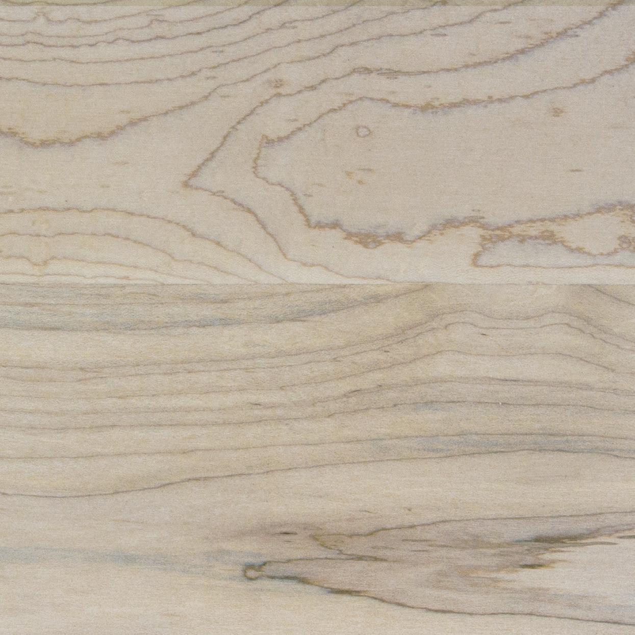Maple Finish Sample