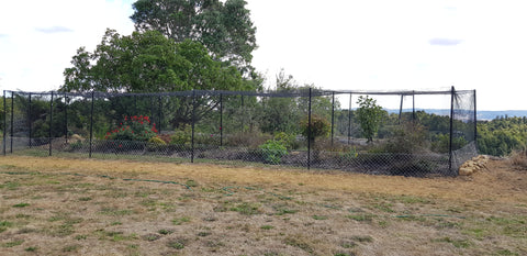 cat cage with dry grass in front