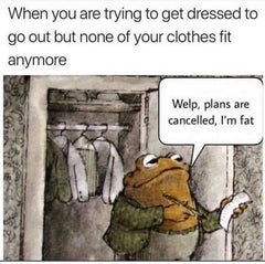 Welp, plans are cancelled, "I'm fat" Frog meme