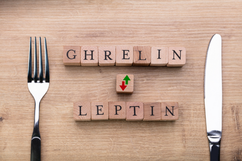 grehlin & leptin