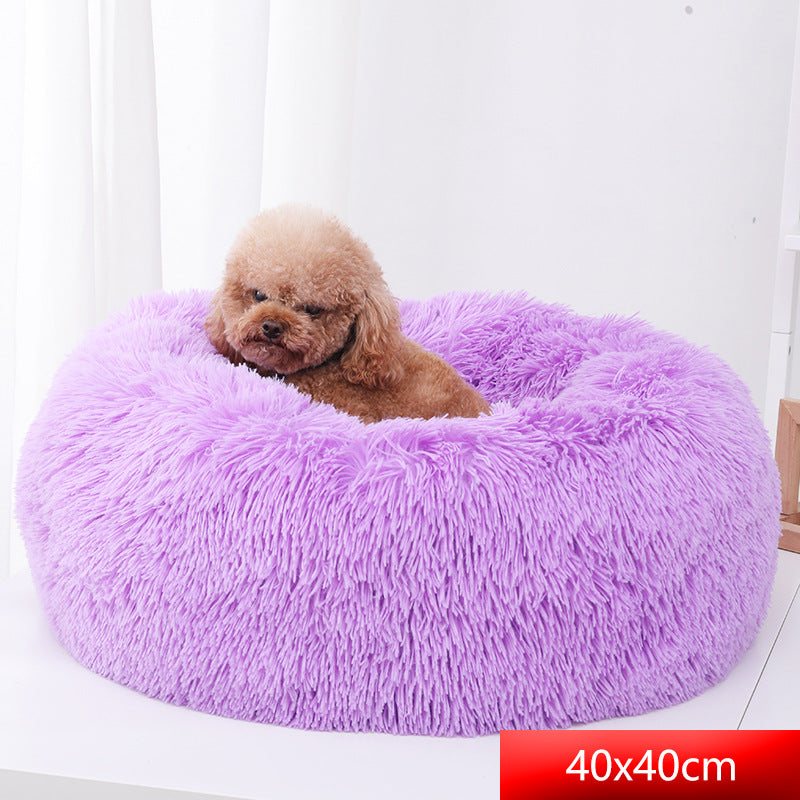 purple dog bed