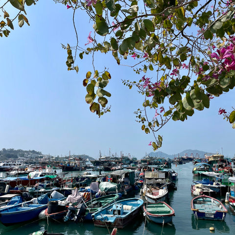 Boats in the water in Cheung Chau Island
