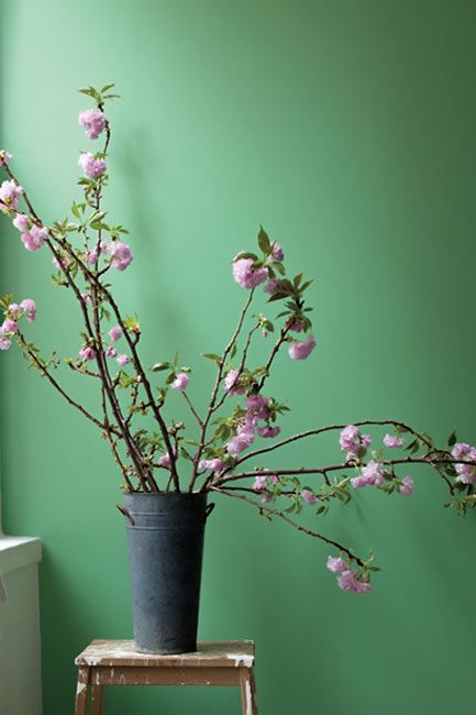 A deep green-painted hallway with pink flower blossoms in a rustic vase on a painted stepladder.