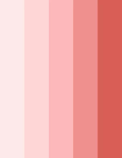 A display of five color stripes, each representing a gradient of Raspberry Blush 2008-30, the Benjamin Moore color of the Year 2023, including: Touch of Pink, Little Piggy, Delicate Rose, Hydrangea Flowers, and the Color of the Year, Raspberry Blush.