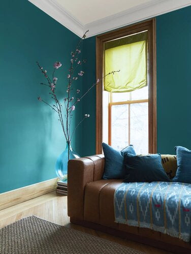 North Sea Green-painted living room with White Heron-painted trim, Etiquette off white-painted ceiling, leather couch, blue pillows, and green curtain. 