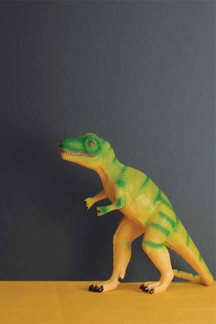A deeply hued wall frames a toy dinosaur.