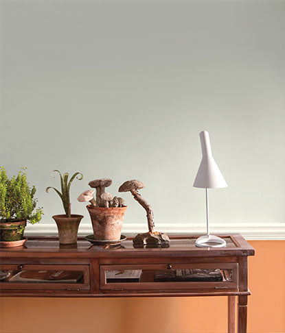 A room with white-painted upper walls and wainscoting in orange, featuring a wooden desk with plant décor.