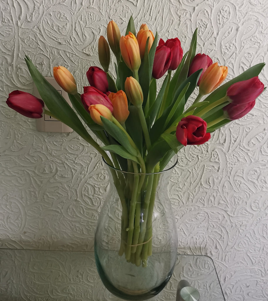 Tulipanes 20 piezas - Isla mujeres 20 – Florería CDMX