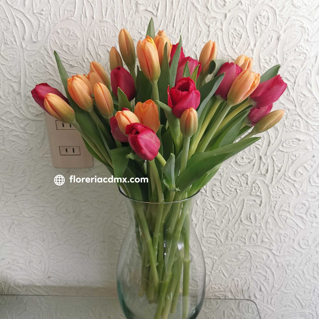 Tulipanes 30 piezas - Isla mujeres 30 – Florería CDMX