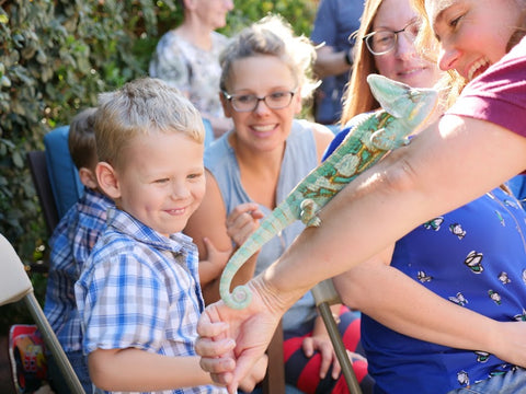 Chameleon crawling up Andrea's arm in front of kids.